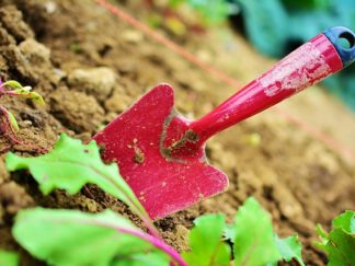 Gardening